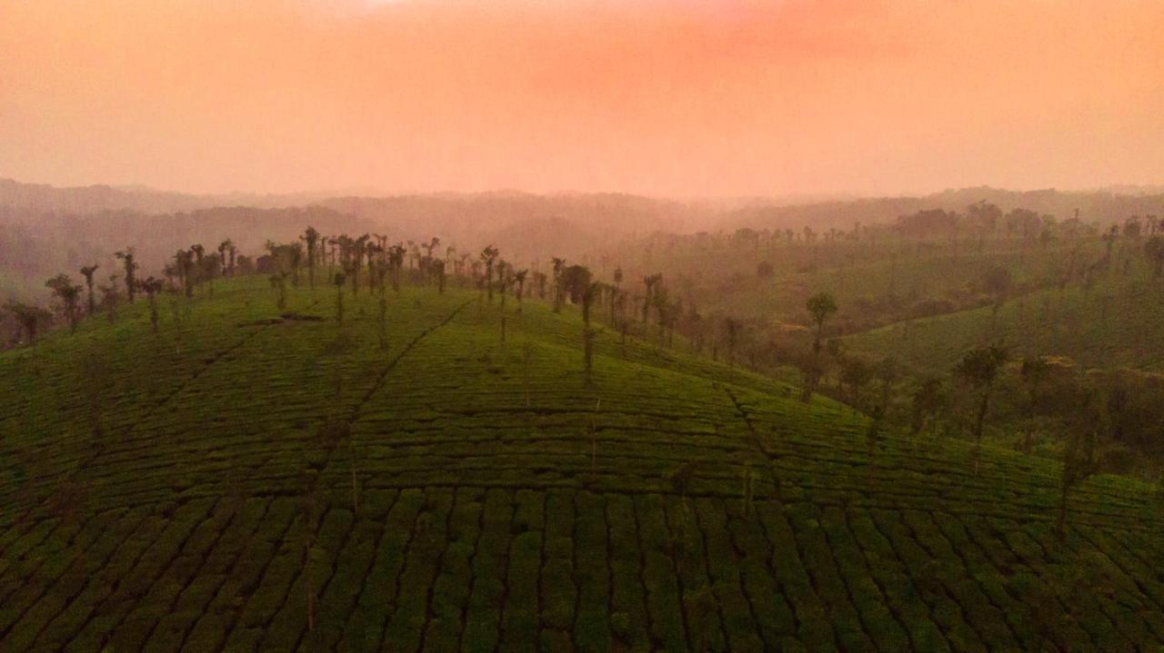 Ama Plantation Trails Coorg Villa Gonikoppal Dış mekan fotoğraf